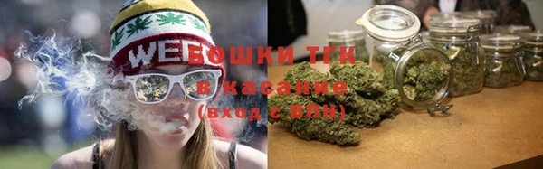дживик Михайловск