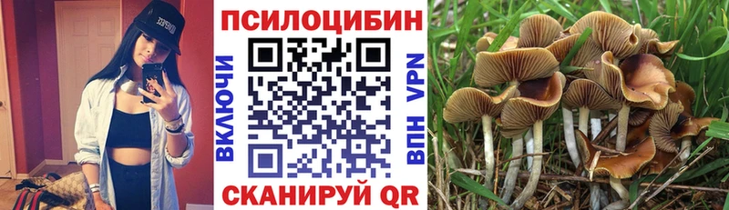 Галлюциногенные грибы Psilocybine cubensis Оханск